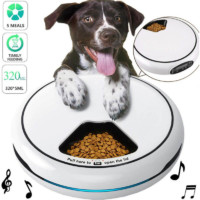 auto dog feeder