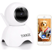 dog camera monitor