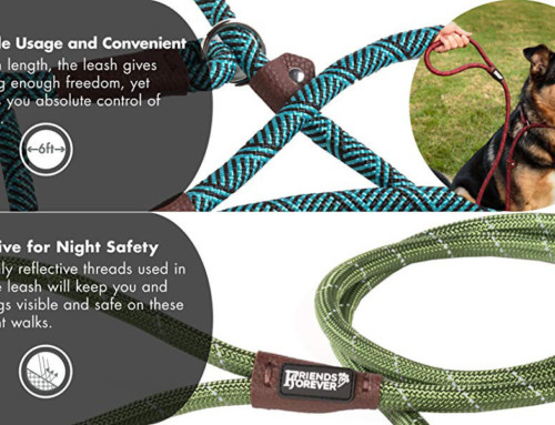 Top 10 Best Dog Leashes for Sale in 2020