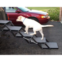 dog ramp step