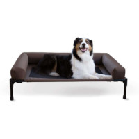 dog sofa