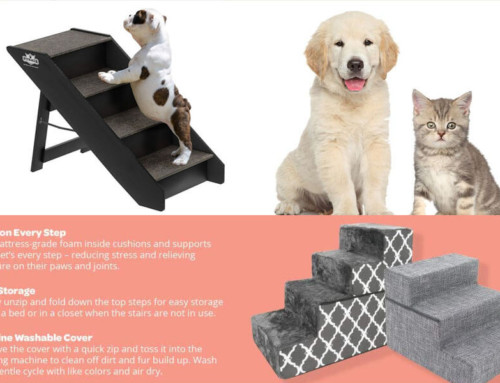 Top 10 Best Dog Stairs Steps for Sale in 2020