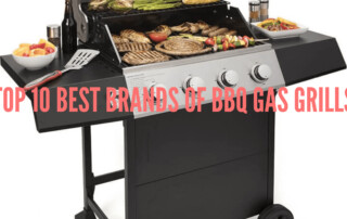 Top 10 Best Brands of BBQ Gas Grills